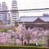 屋外の景色