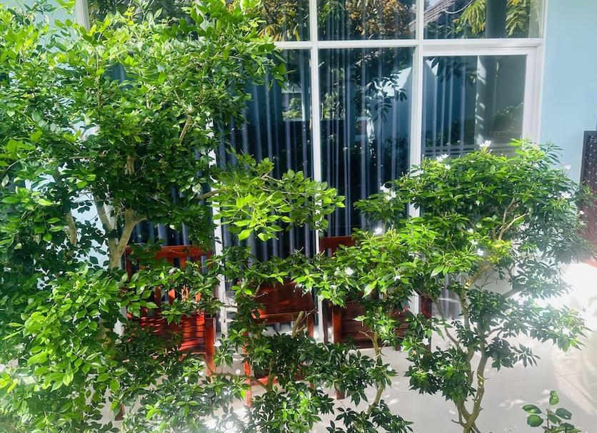 屋外の景色 写真