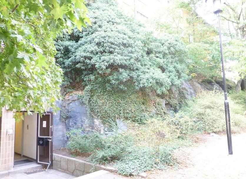 屋外の景色 写真