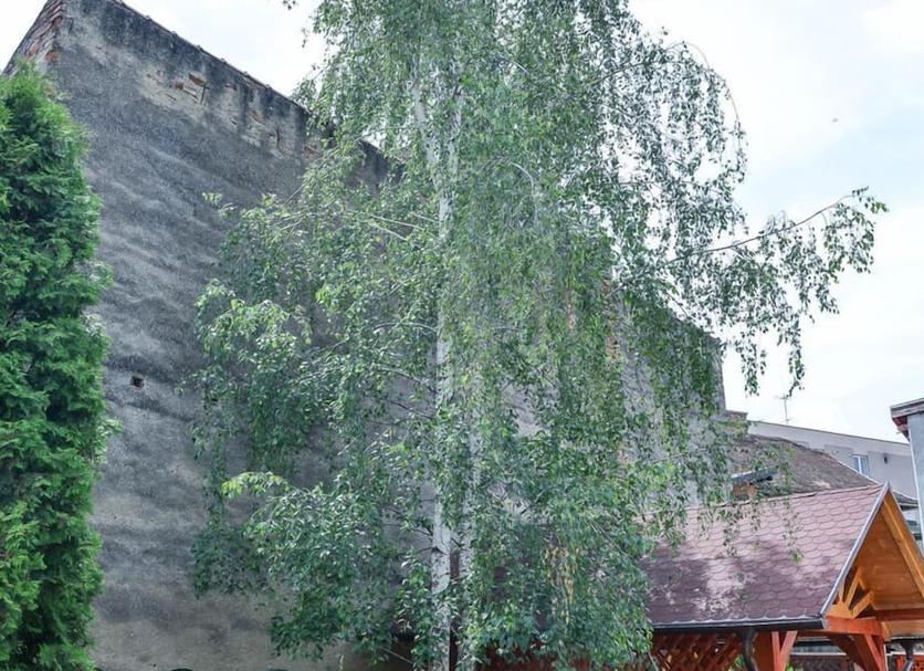 屋外の景色 写真