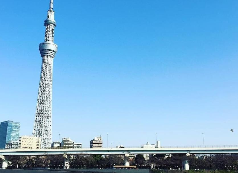 屋外の景色 写真