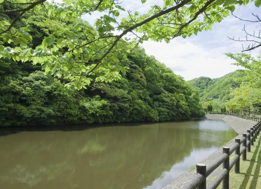 屋外の景色 写真