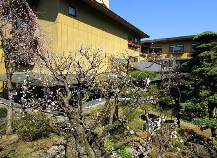屋外の景色 写真