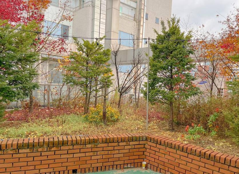 屋外の景色 写真
