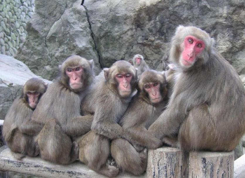 その他 写真