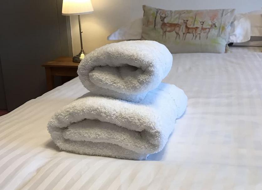 客室の設備 写真