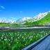 屋外の景色