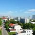 屋外の景色