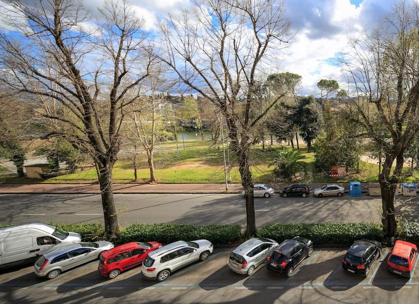 屋外の景色 写真
