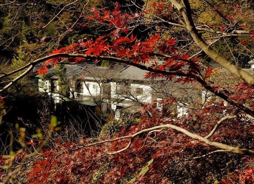 建物 写真