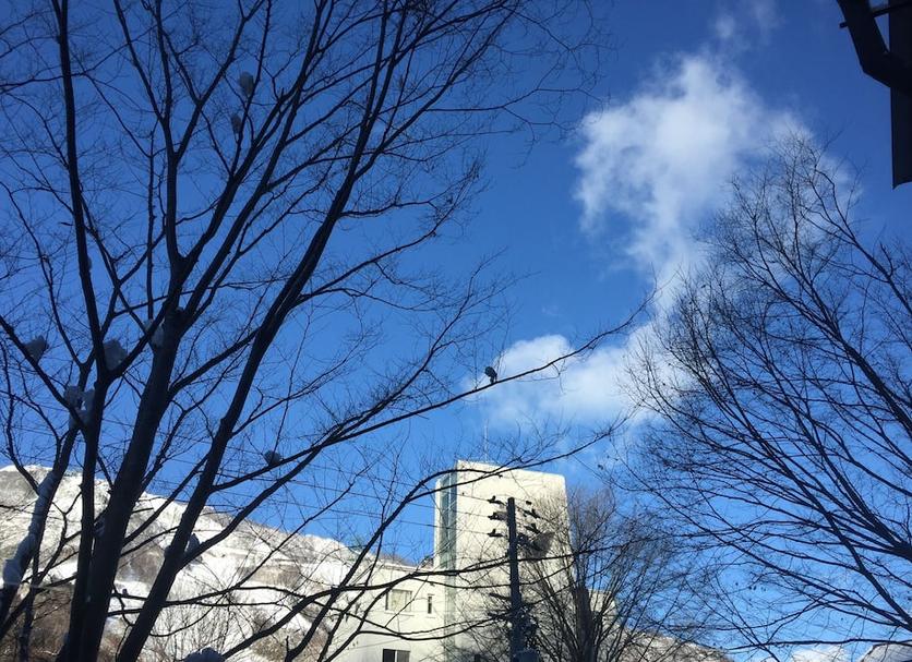 屋外の景色 写真