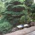 屋外の景色