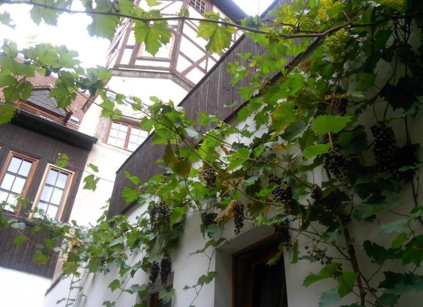 屋外の景色 写真
