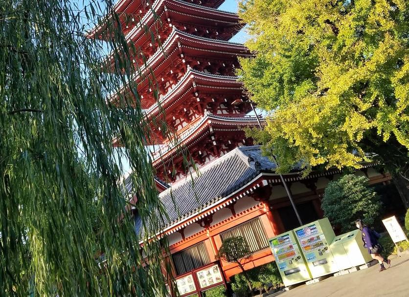建物 写真