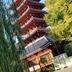 建物
