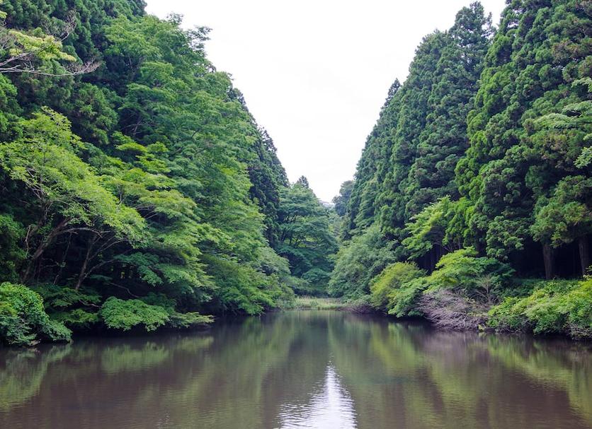 屋外の景色 写真