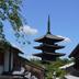 屋外の景色