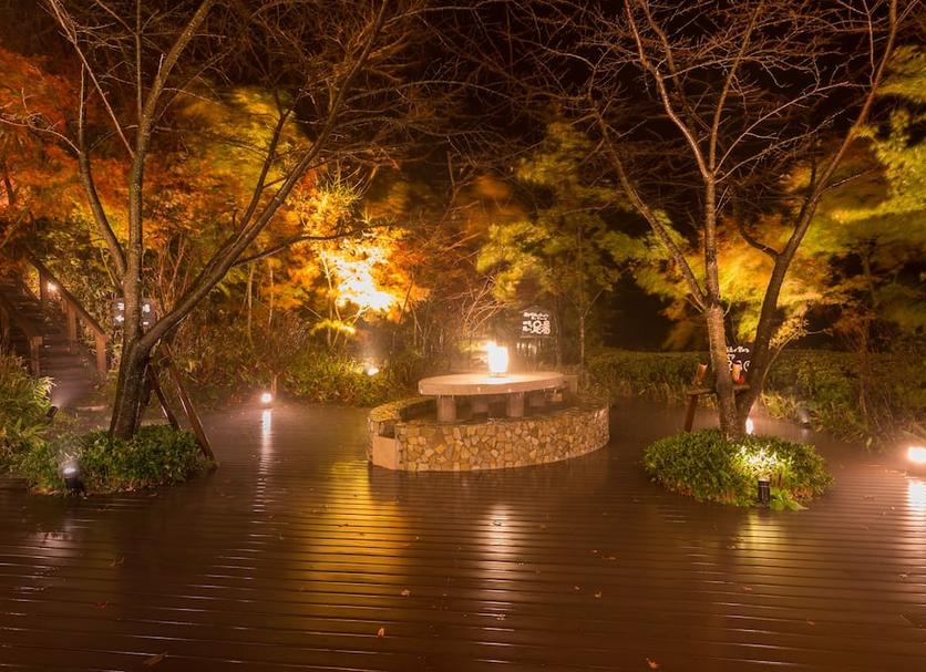 屋外の景色 写真