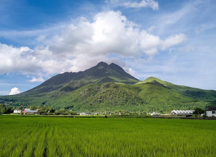 屋外の景色 写真
