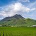 屋外の景色
