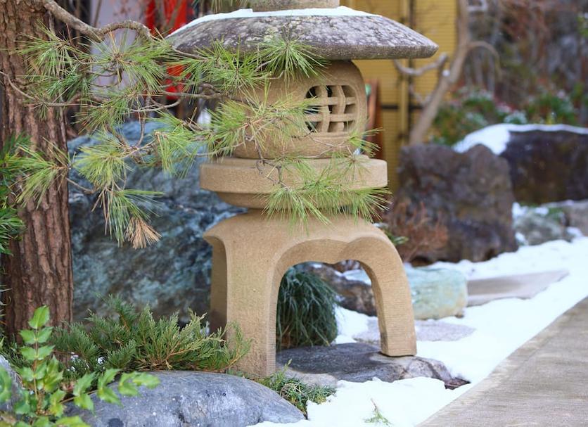屋外の景色 写真
