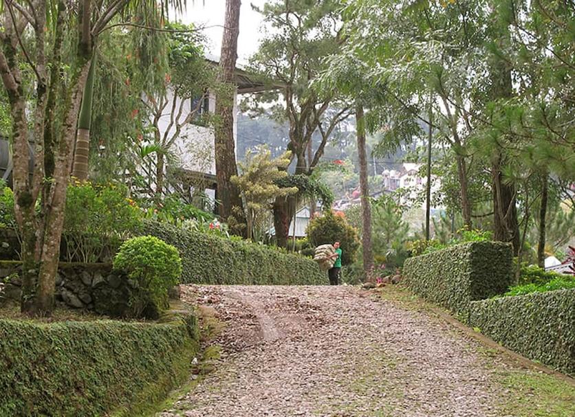 屋外の景色 写真