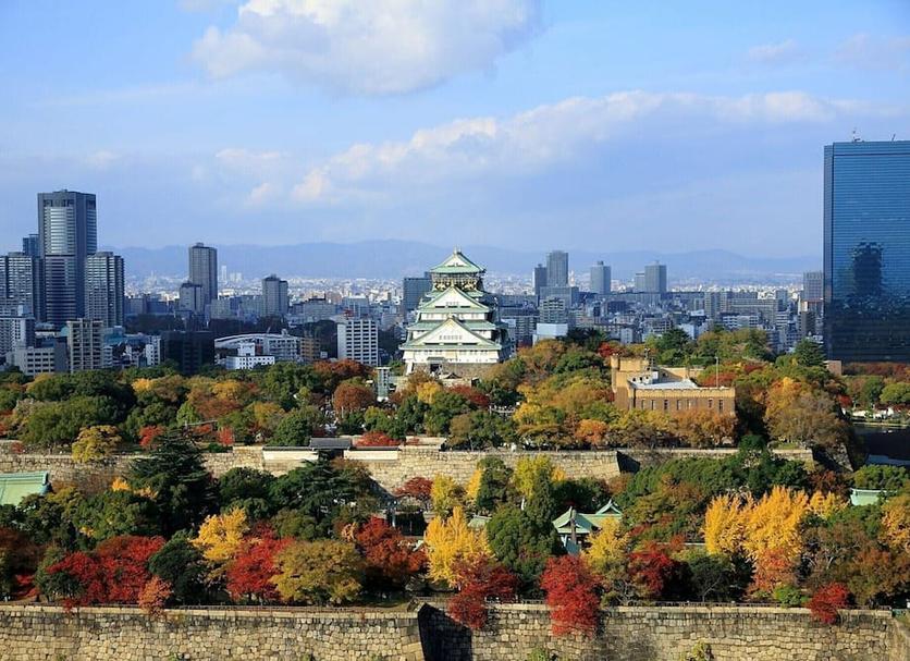 屋外の景色 写真