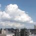 屋外の景色