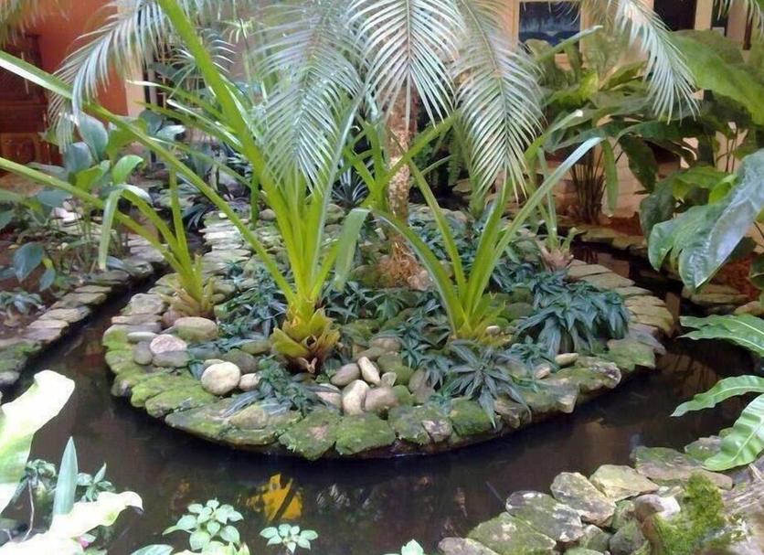 屋外の景色 写真
