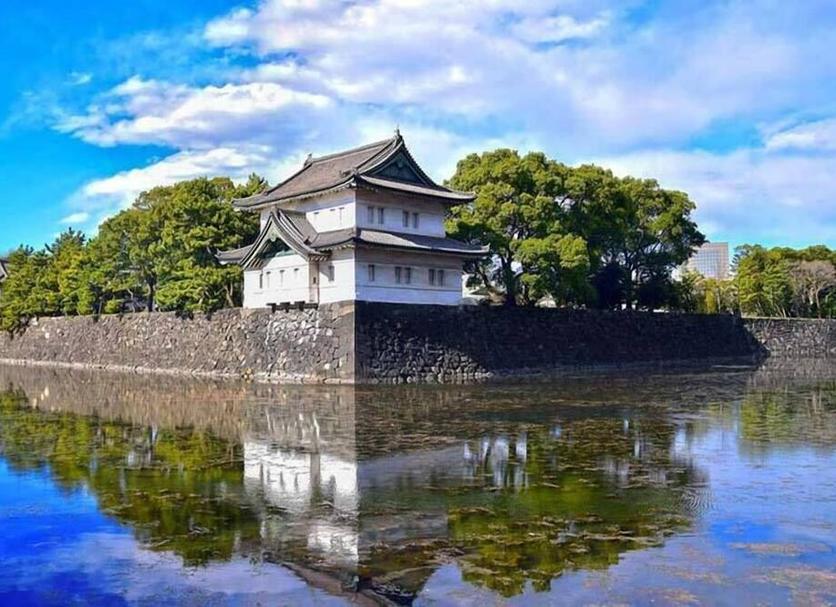 屋外の景色 写真