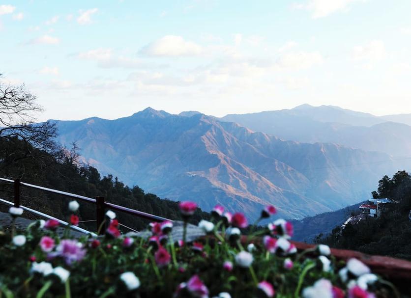 屋外の景色 写真