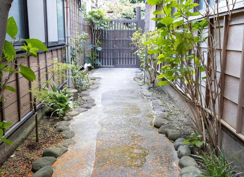 屋外の景色 写真