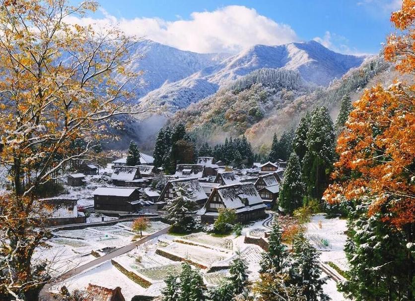 屋外の景色 写真