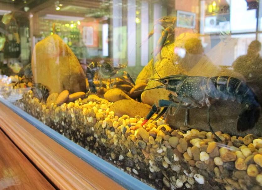 その他 写真