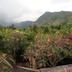 屋外の景色