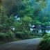 屋外の景色