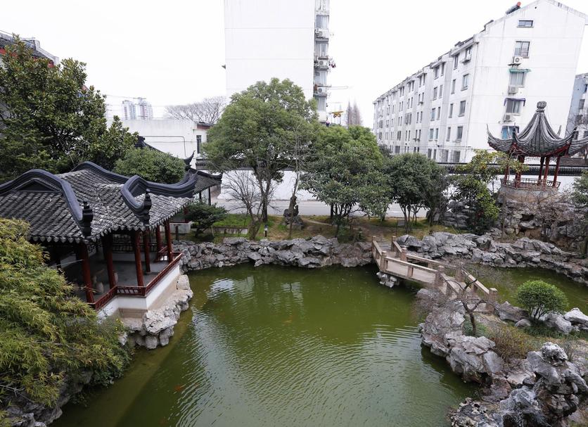 屋外の景色 写真