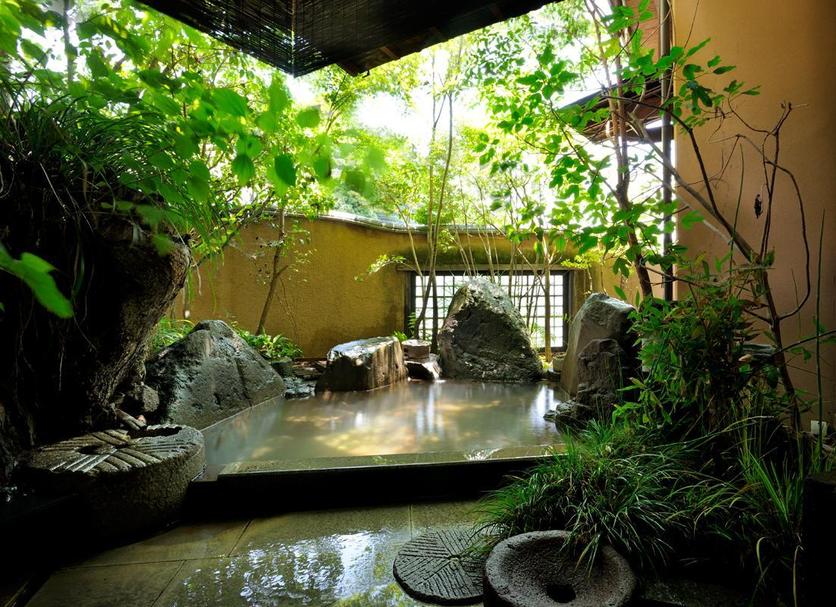 屋外の景色 写真