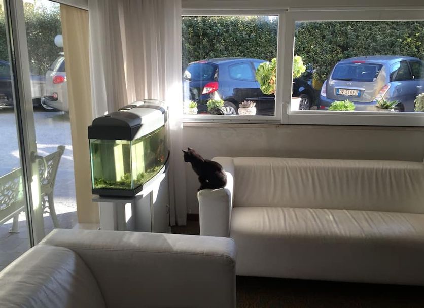 リビングルーム 写真