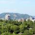 屋外の景色