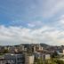 屋外の景色