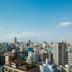 屋外の景色