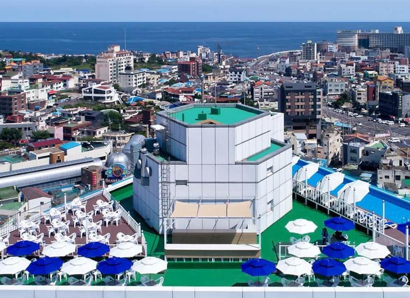 屋外の景色 写真