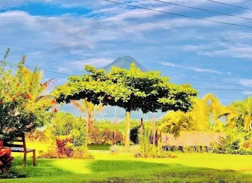 屋外の景色 写真