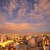 屋外の景色