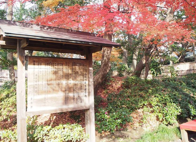屋外の景色 写真