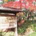 屋外の景色