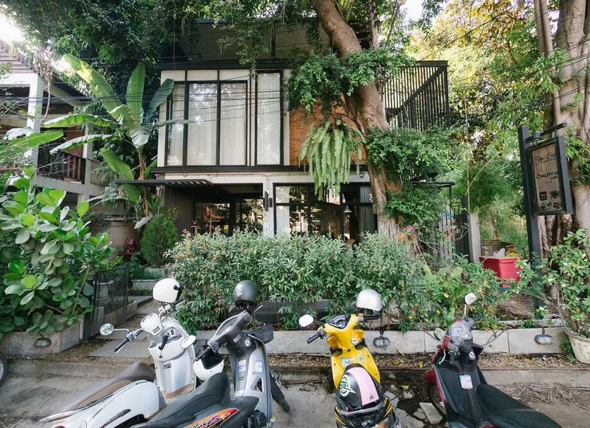 屋外の景色 写真