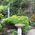 屋外の景色