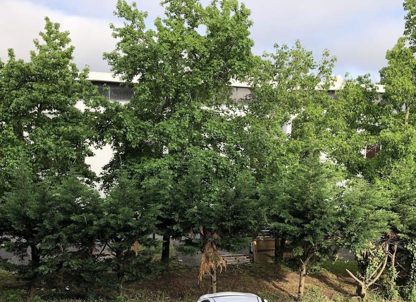 屋外の景色 写真
